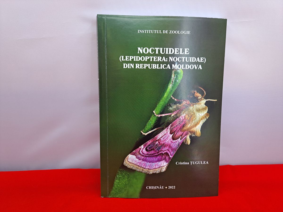 Coperta cărții fluturi Moldova